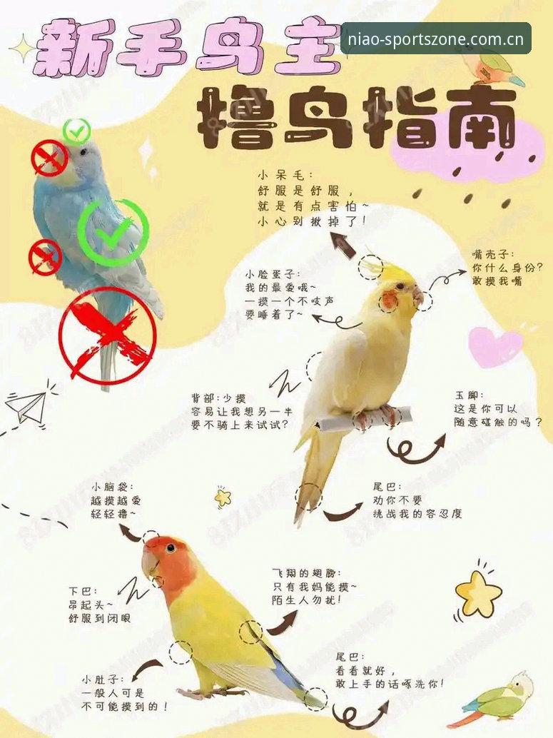 揭秘最新小鸟体育靠谱吗：新手必读的六大真相与实操指南