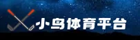 应用详情